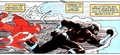 Dark Flash 009