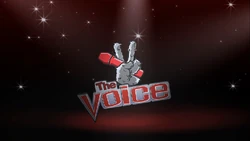 TheVoice01
