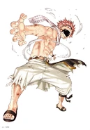 Natsu (Fantasia) 01