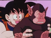 Dbz19-25