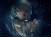 SKR-Rider Baby