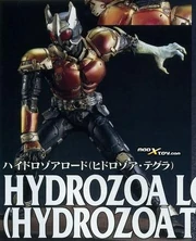 SIC-Kamen Rider G1