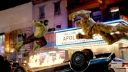 Hulk fight