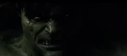 Hulkmad