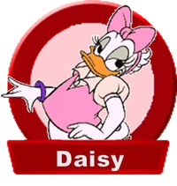 DaisySelection