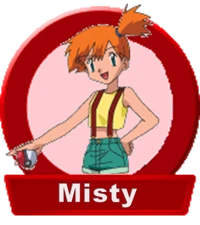 MistySelection