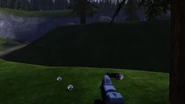 Tim needlerspawn2