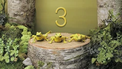Woods-3