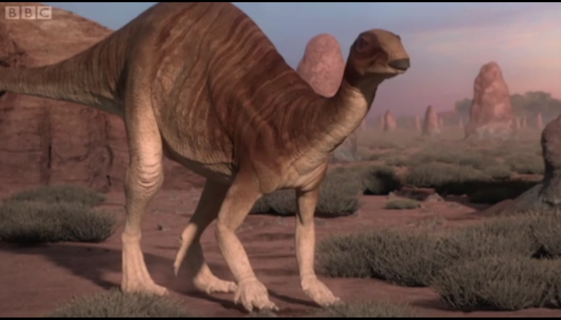 Camptosaurus - Prehistoric Monsters Wiki