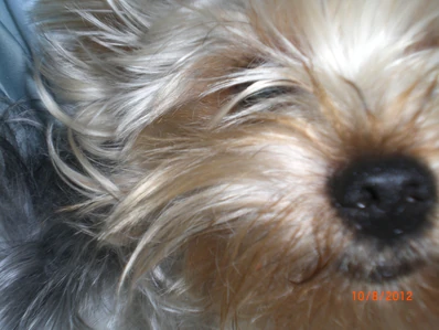 Mokismile