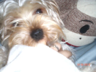 Mokiwithhisockbed