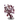 Hollow Lantern Tree-icon