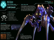 XCOM-EU Chryssalid