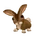 Cottontail Rabbit