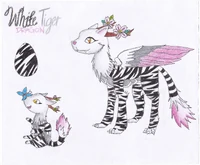 WhiteTiger Dragon