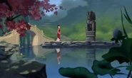 Reflection