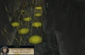 Arrav plans1.png