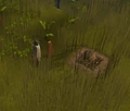 Catching a Broav.png