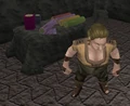 Vermundi's Clothes Stall.png