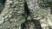Cracked Tusk Keep Master-Lock Chest