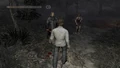SH4ForestRWalter1