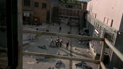 Twd301-001803.jpg