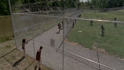 Twd301-000670.jpg