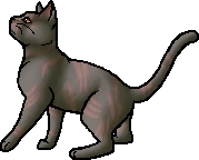 Marshscar.deputy