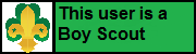 Userbox-boy scout