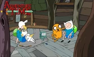Life at the tree house