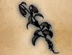 WILTED BLOSSOM