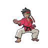 Black Belt (PKMN).png
