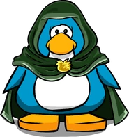 Green Hooden Cloak