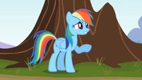 Rainbow Dash "Doing here" S2E07