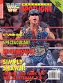 WWF Wrestling Spotlight 27.jpg