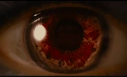 Screen-Shot-2012-10-22-at-3 55 49-PM