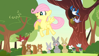 Filly Fluttershy with woodland creatures S1E23