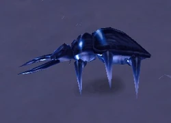Frost Beetle