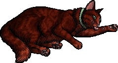 Russetfur.kittypet