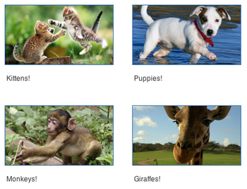 Example-gallery