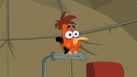 800px-Unnamed Heinz Doofenshmirtz look-a-like bird