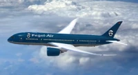 Fegel-Air