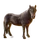 Item aegidienberger 01