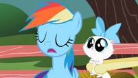 Rainbow Dash Pass S2E7