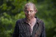TWD-303-x
