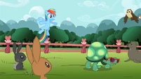 Rainbow Dash 'of speed' S2E07