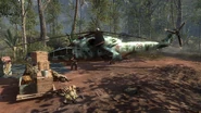 Woods and the Hind BO