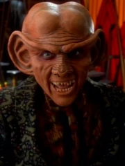 Quark 2370