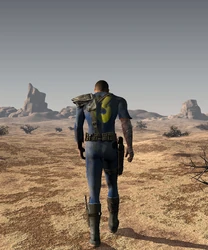 Into the desert.jpg