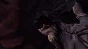 LeeDeath80
